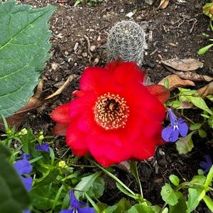 Meet your Posher, Elena